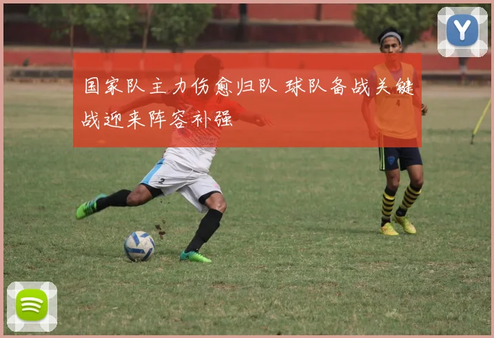 国家队主力伤愈归队 球队备战关键战迎来阵容补强