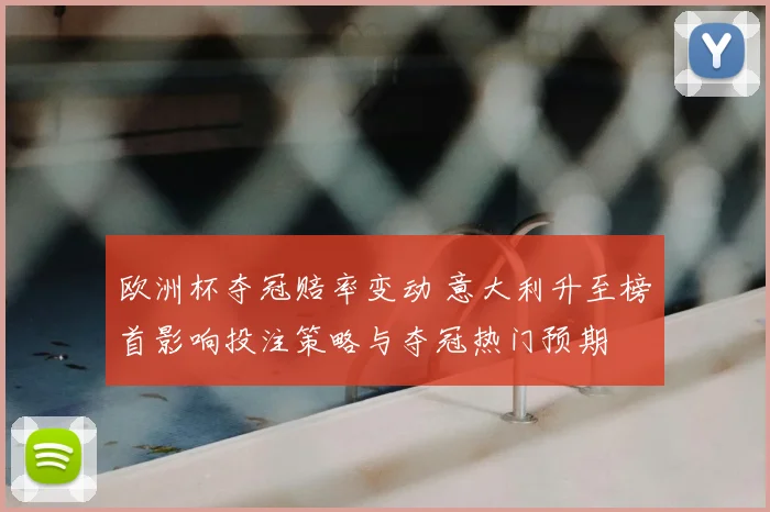 欧洲杯夺冠赔率变动 意大利升至榜首影响投注策略与夺冠热门预期