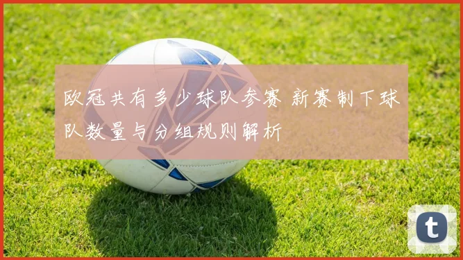 欧冠共有多少球队参赛 新赛制下球队数量与分组规则解析