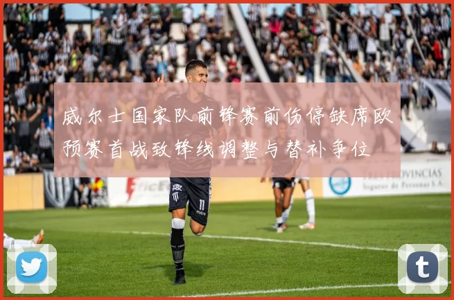 威尔士国家队前锋赛前伤停缺席欧预赛首战致锋线调整与替补争位