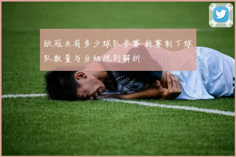 欧冠共有多少球队参赛 新赛制下球队数量与分组规则解析