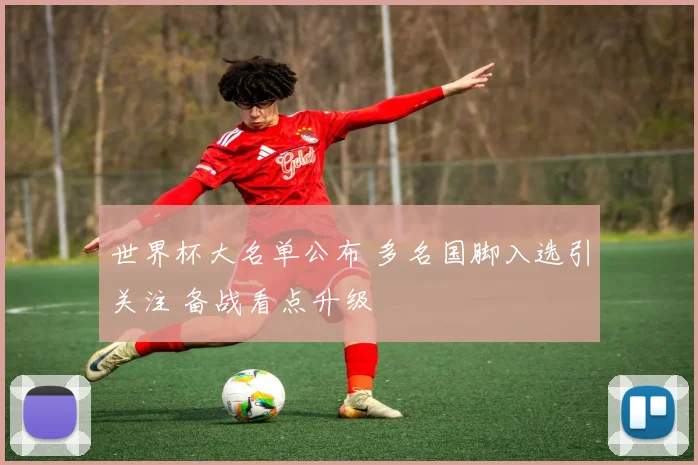 世界杯大名单公布 多名国脚入选引关注 备战看点升级