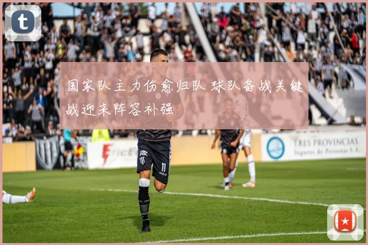 国家队主力伤愈归队 球队备战关键战迎来阵容补强